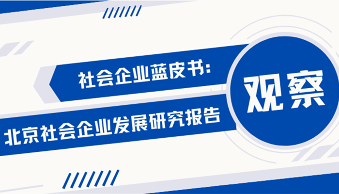 社会企业蓝皮书：北京社会企业发展研究报告（上）